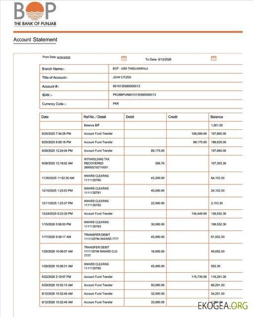 Modèle Word et PDF de relevé de compte de la Pakistan Bank of Punjab